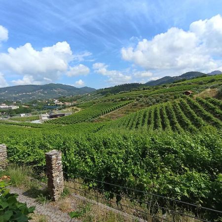 Al Vigneto Apartment Sestri Levante Ngoại thất bức ảnh