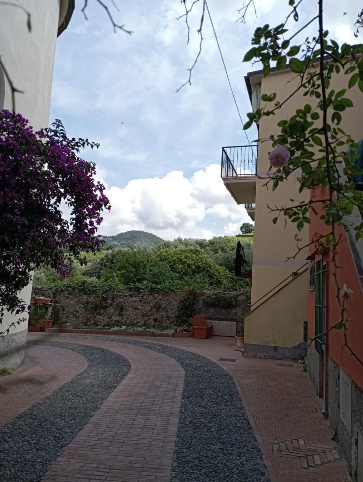 Al Vigneto Apartment Sestri Levante Ngoại thất bức ảnh