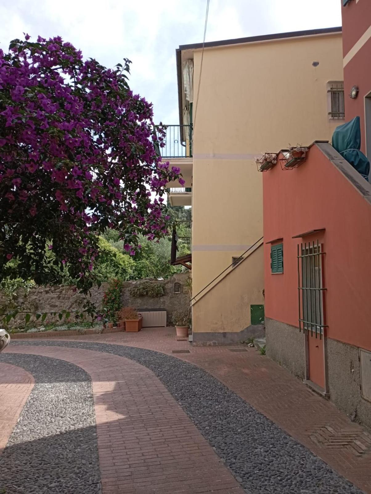 Al Vigneto Apartment Sestri Levante Ngoại thất bức ảnh